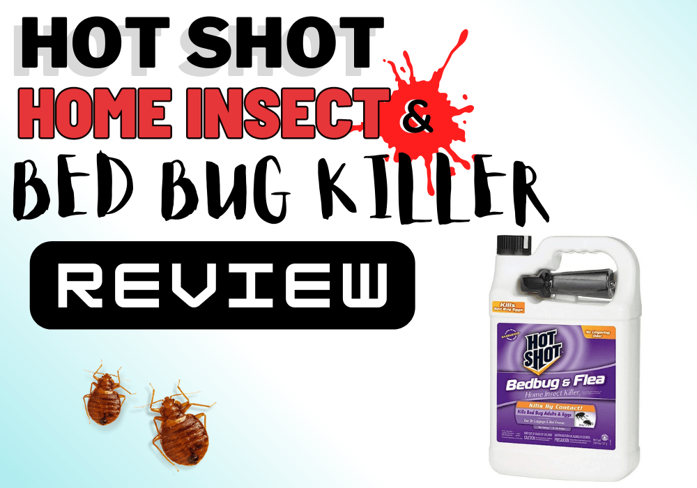 Hot Shot Ready-to-Use Bed Bug Home Insect Killer Review