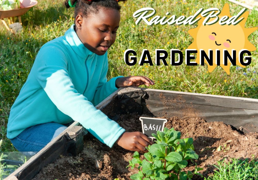 Building your own raised bed gardens