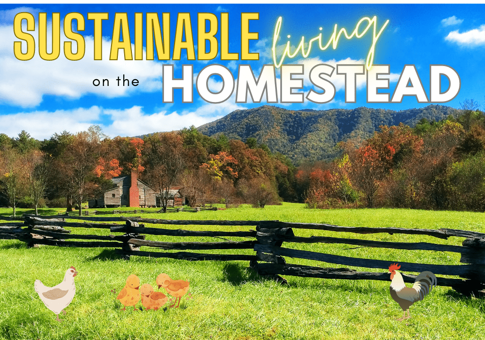 Sustainable Living on the Homestead and Garden